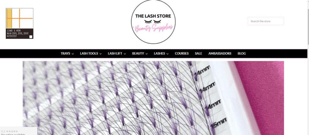 the lash store